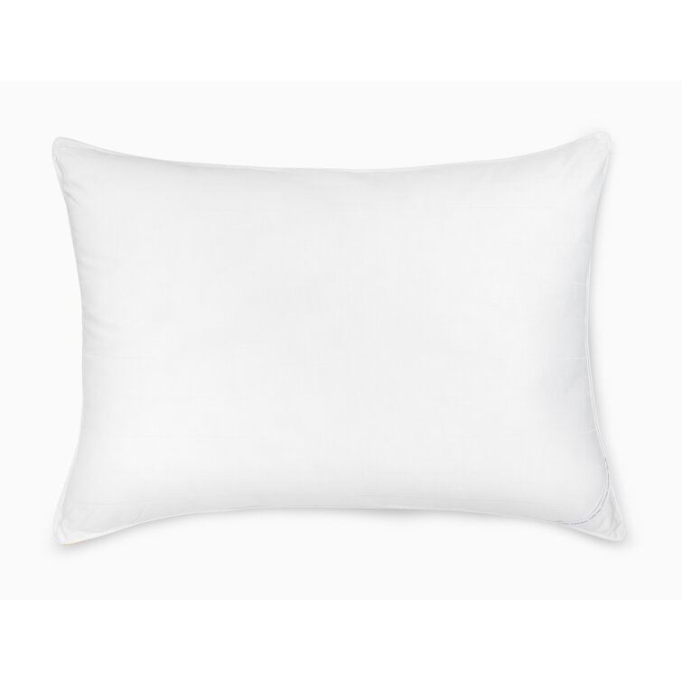 Calvin klein polyester clearance pillows